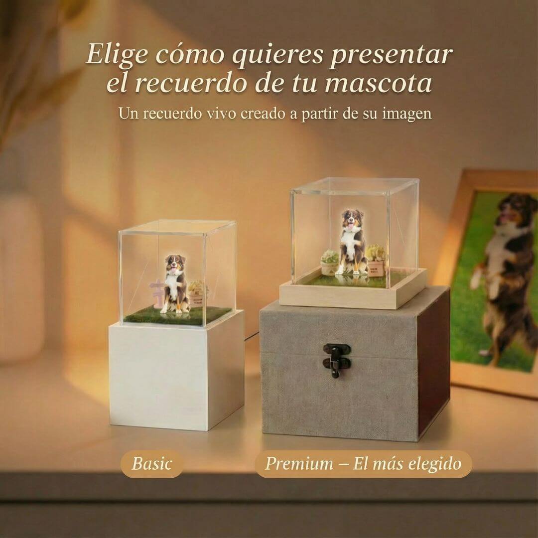 PawAI™ – Recuerdo Holográfico Personalizado