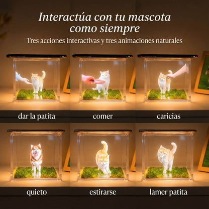 PawAI™ – Recuerdo Holográfico Personalizado